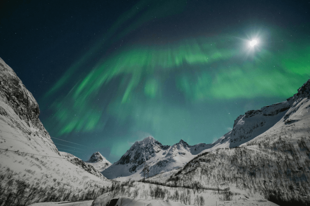 Courses, The Miracle Trail Courses, Past events, Personal Growth Courses, Creating Miracles