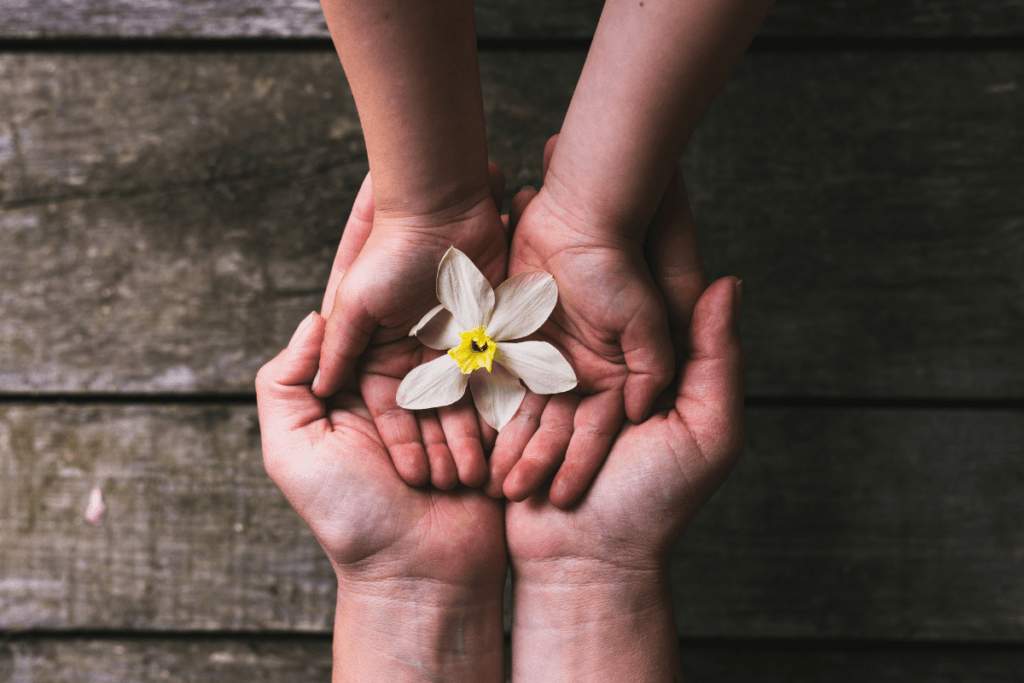 Courses, The Miracle Trail Courses, Past events, Personal Growth Courses, Creating Miracles