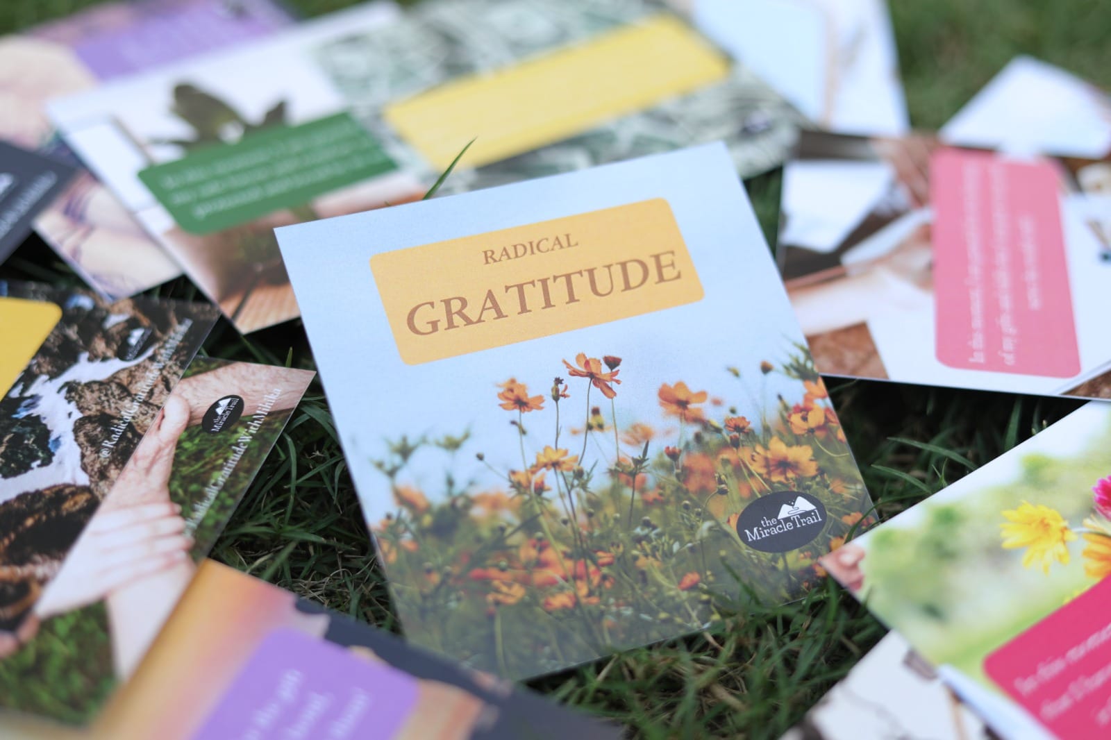 Miracle Trail Store, Personal Growth Journals, Guided Meditations