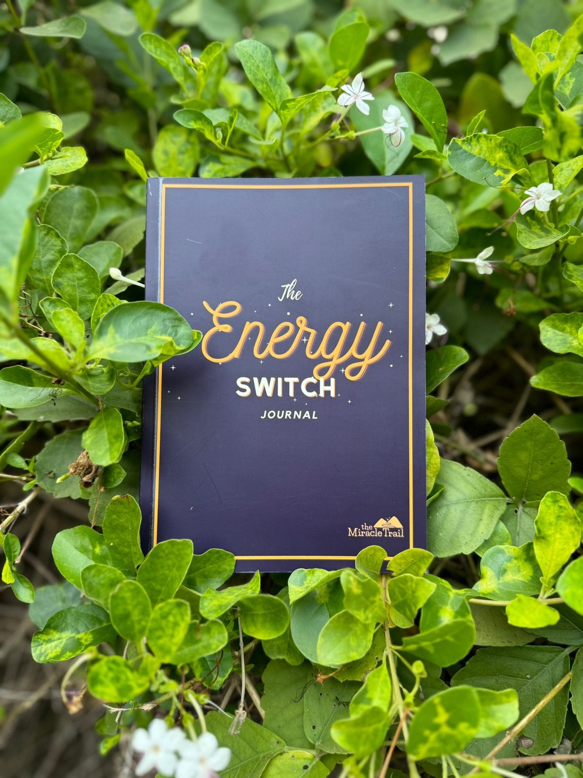 Miracle Trail Store, Personal Growth Journals, Guided Meditations