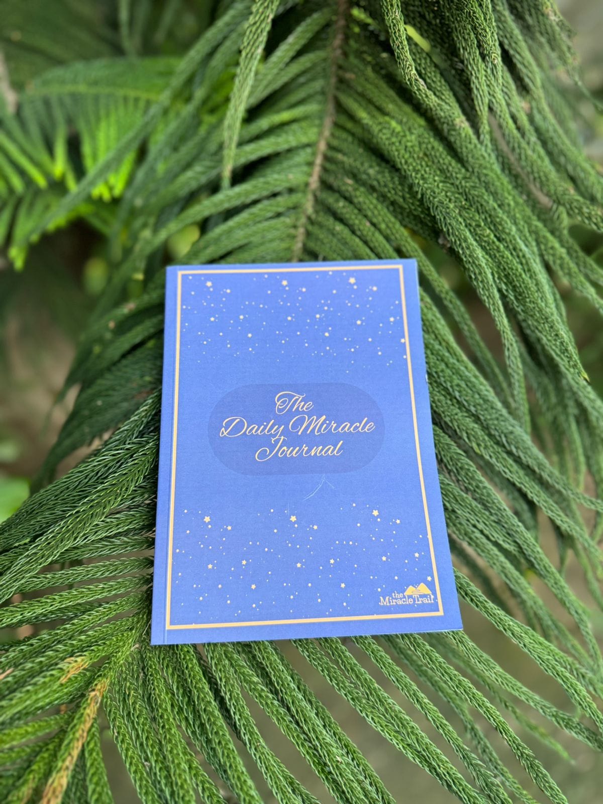 Miracle Trail Store, Personal Growth Journals, Guided Meditations