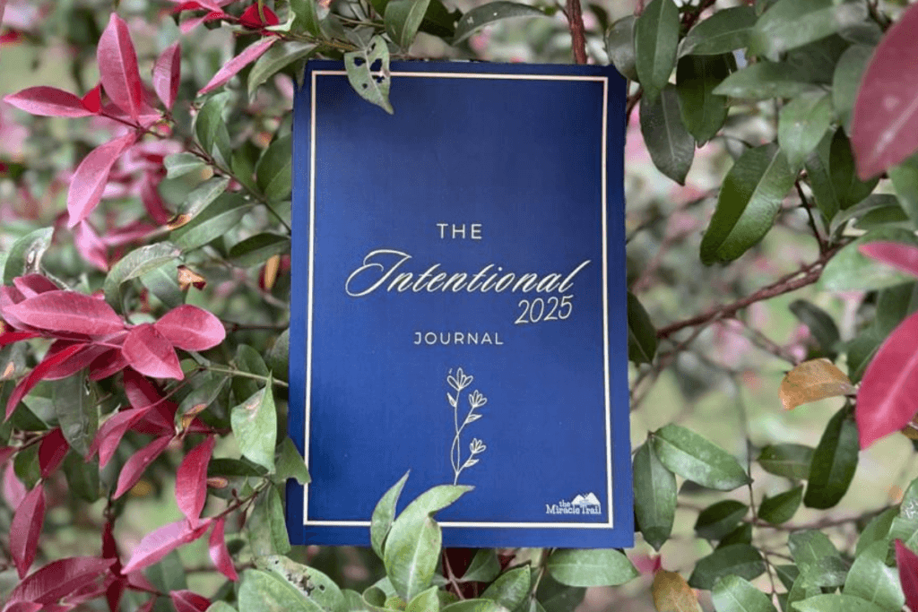 Courses, The Miracle Trail Courses, Past events, Personal Growth Courses, Creating Miracles